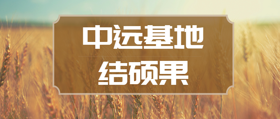 東莞中遠基地首套導管架完工交付