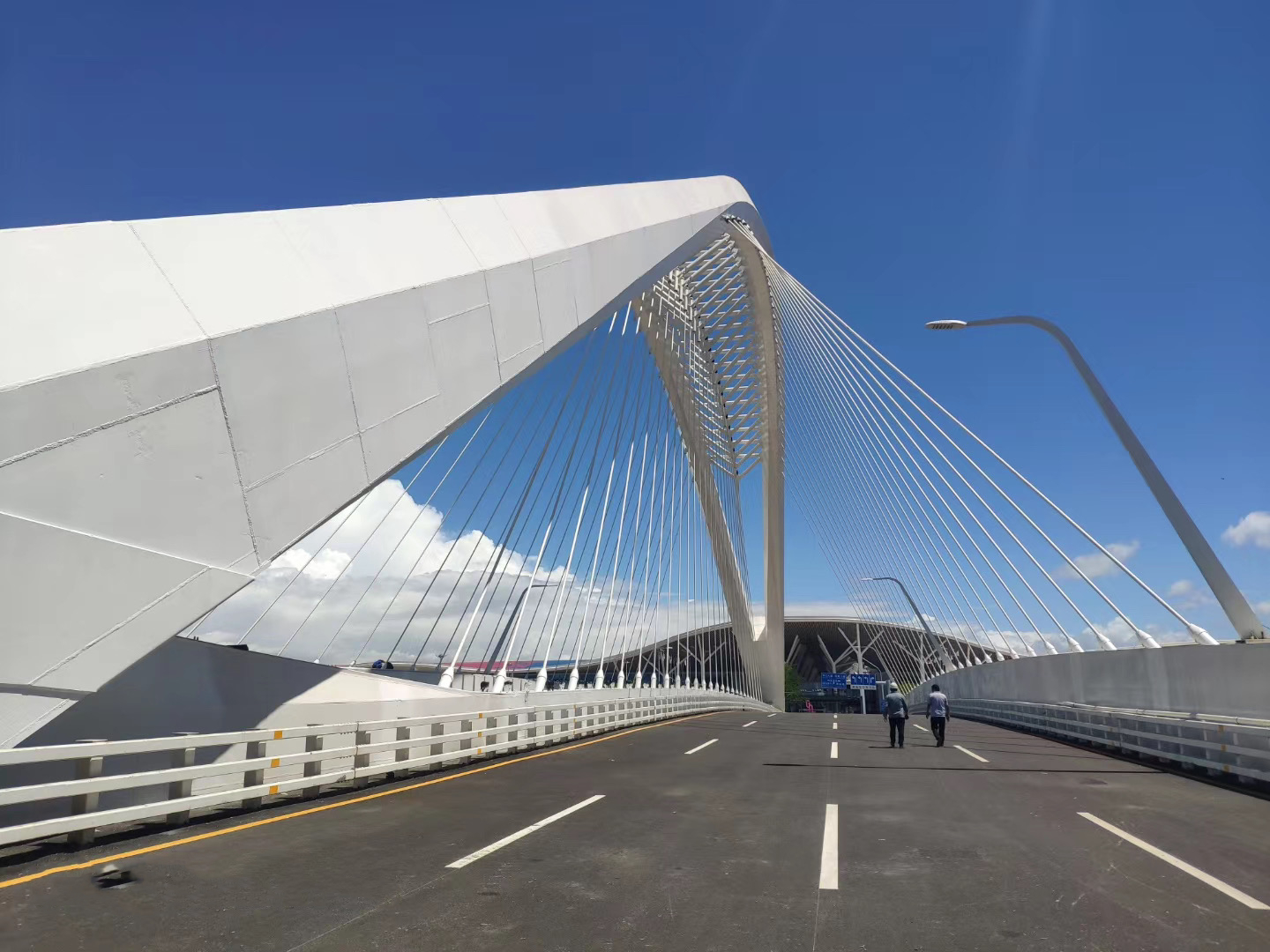 深圳會展大道三號橋
