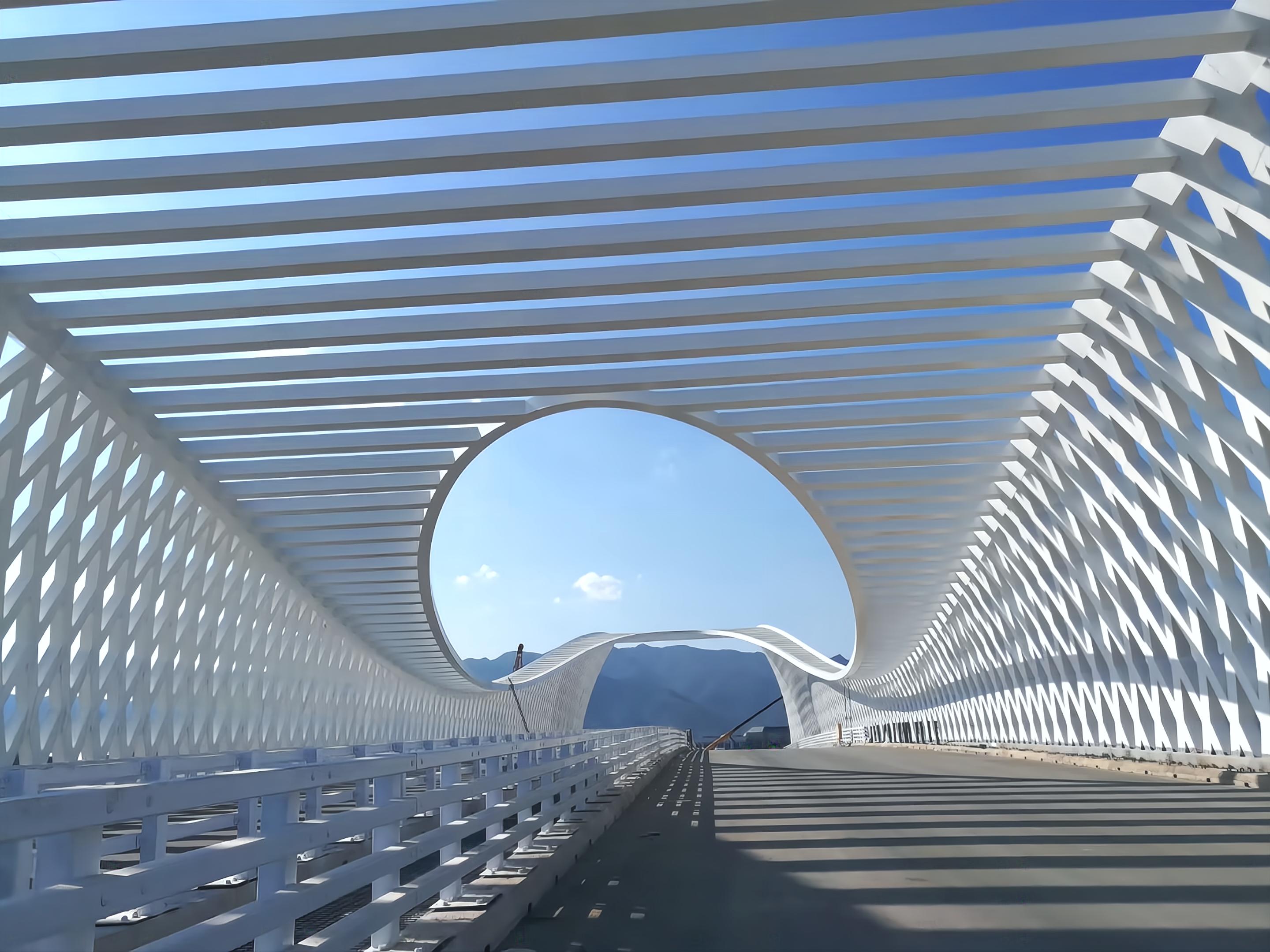長利大道橋