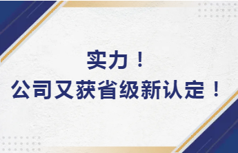 實力！公司又獲省級新認定